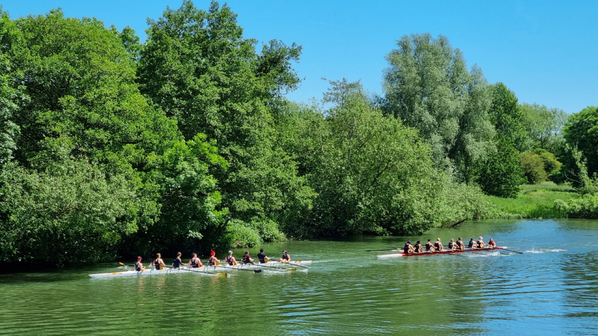 University Regatta